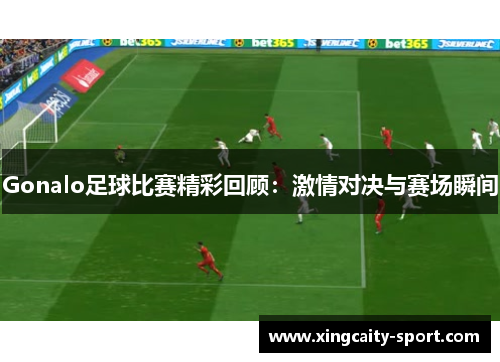 Gonalo足球比赛精彩回顾：激情对决与赛场瞬间