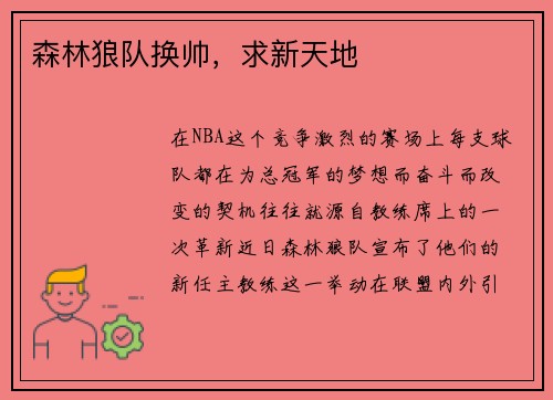 森林狼队换帅，求新天地